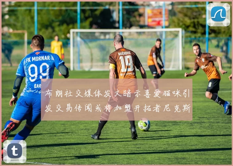 布朗社交媒体发文暗示喜爱猫咪引发交易传闻或将加盟开拓者尼克斯雷霆湖人