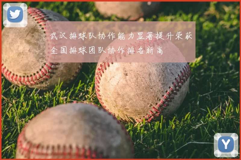 武汉排球队协作能力显著提升荣获全国排球团队协作排名新高