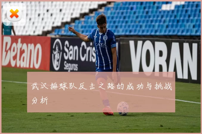 武汉排球队反击之路的成功与挑战分析