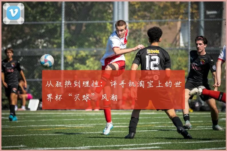 从狂热到理性：评手机淘宝上的世界杯“买球”风潮