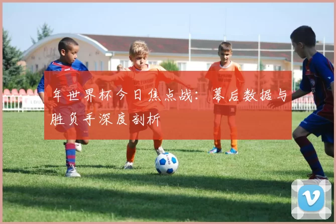 年世界杯今日焦点战：幕后数据与胜负手深度剖析