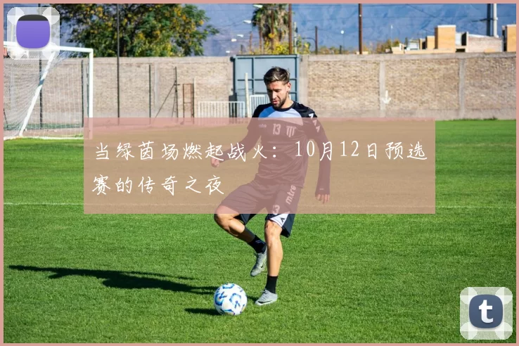 当绿茵场燃起战火:10月12日预选赛的传奇之夜
