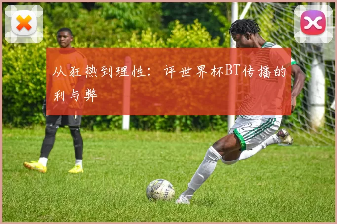 从狂热到理性：评世界杯BT传播的利与弊