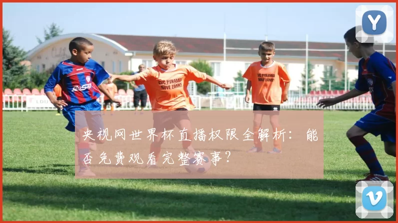 央视网世界杯直播权限全解析：能否免费观看完整赛事？