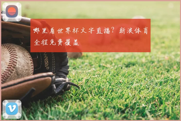 哪里看世界杯文字直播？新浪体育全程免费覆盖