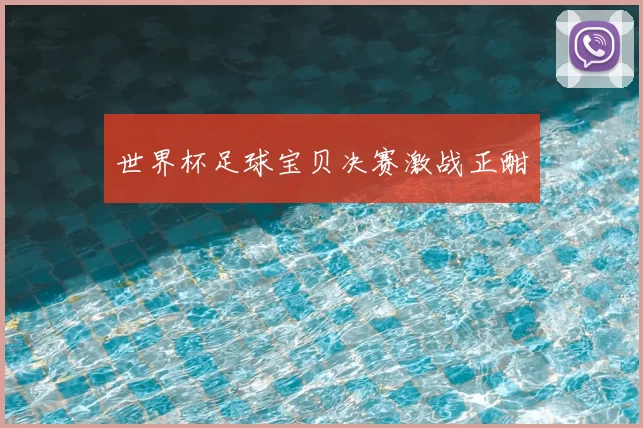 世界杯足球宝贝决赛激战正酣